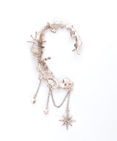 Asterism Ear Hooks