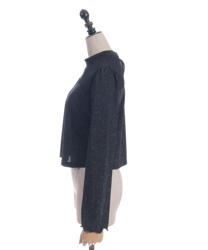 Cross Embroidery Lamé Cut Top