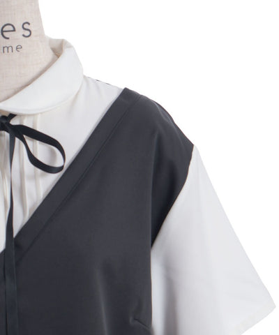 Layered Style Docking Dress