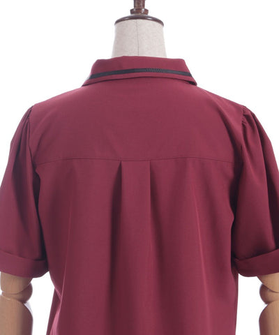 Frill Jabot Color Scheme Line Blouse