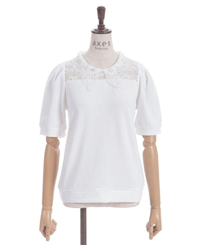 Pearl Lace Collar Yoke Panel Pullover