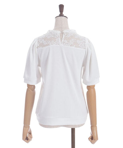 Pearl Lace Collar Yoke Panel Pullover