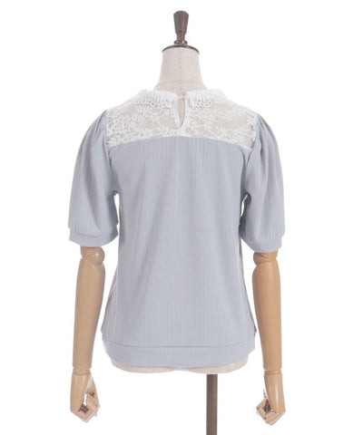 Pearl Lace Collar Yoke Panel Pullover