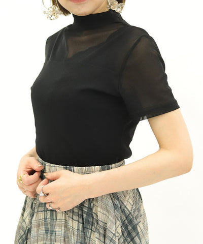 Sheer Short-Sleeved Top