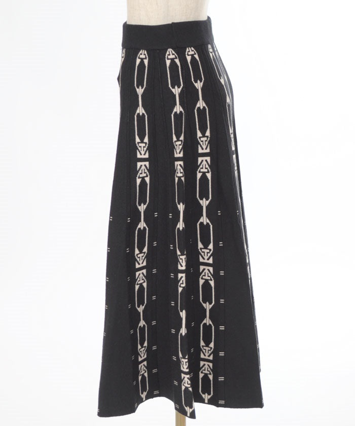 Chain Pattern Flare Skirt