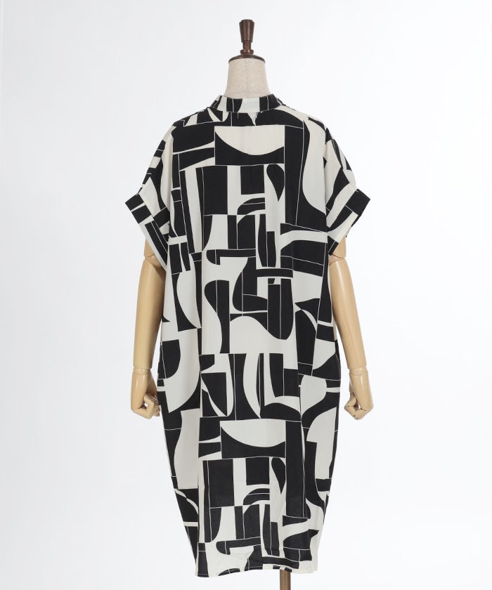 Print French Shirt Dress