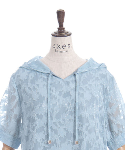 Sheer Jacquard Hoodie Dress