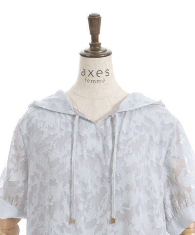 Sheer Jacquard Hoodie Dress