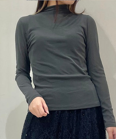 Sheer Bottle Neck Pullover