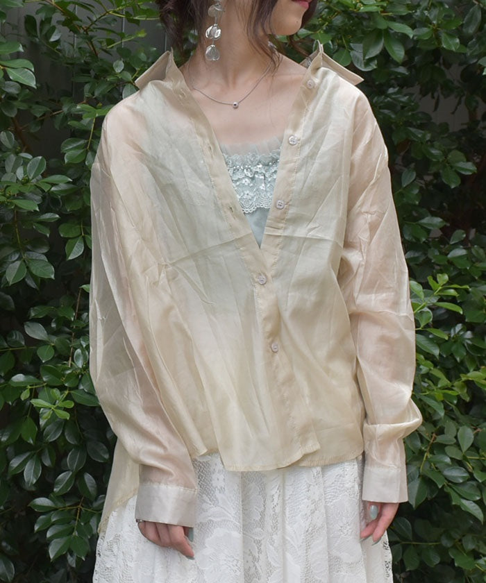 Back Ribbon Sheer Shirt