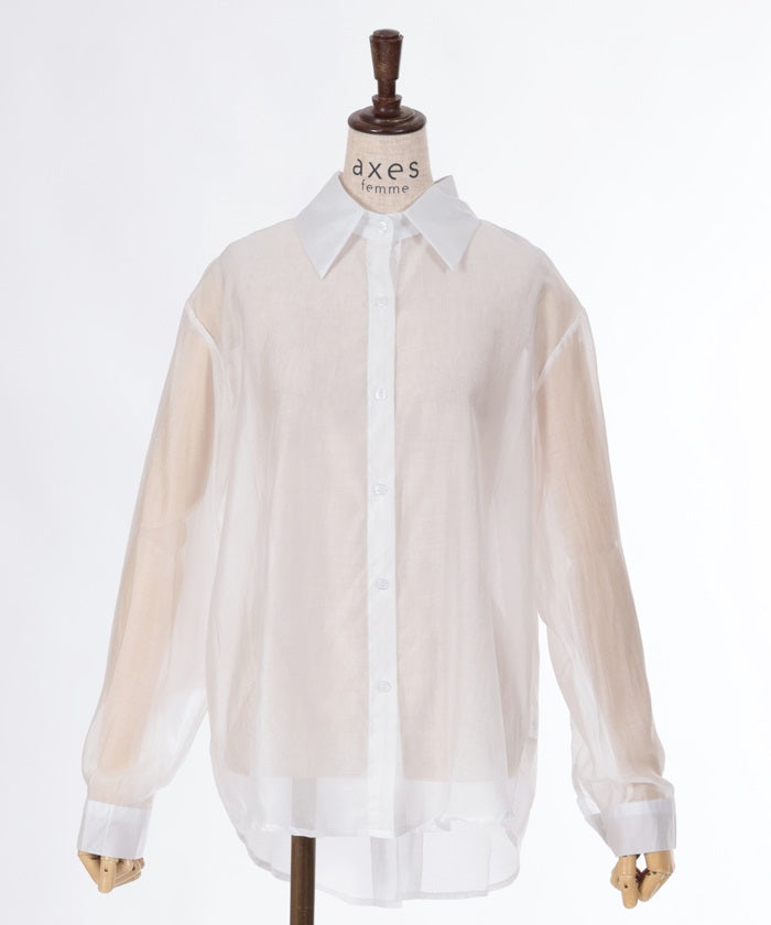 Back Ribbon Sheer Shirt