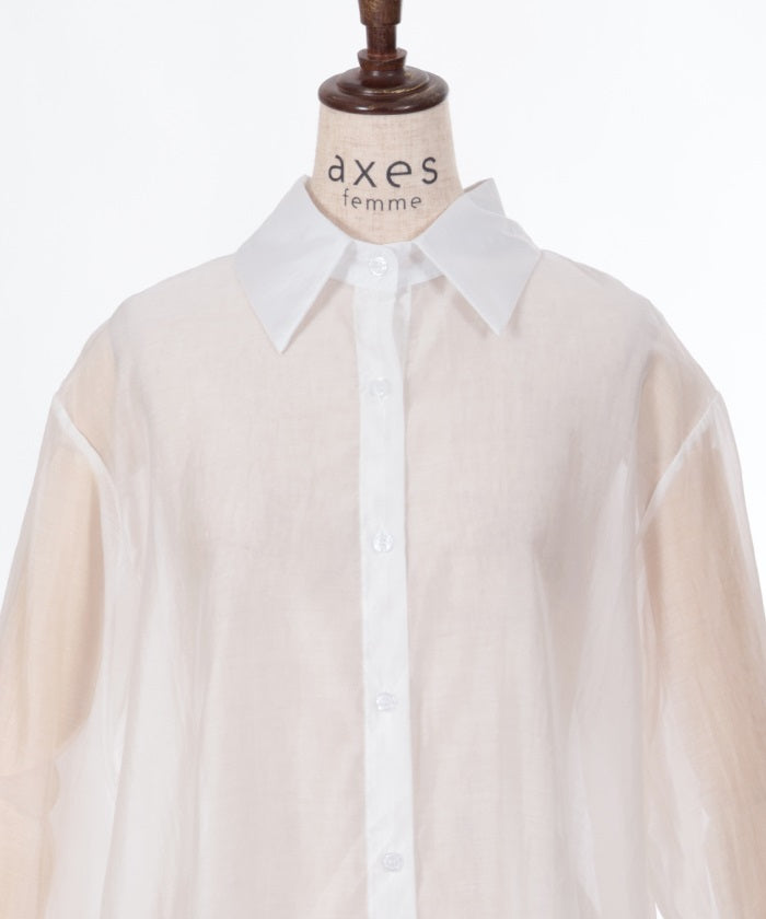 Back Ribbon Sheer Shirt