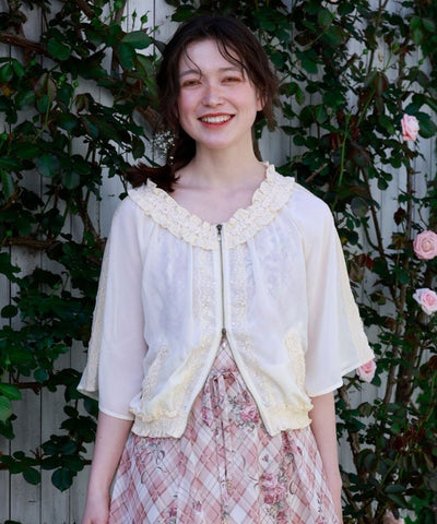 Flare Sleeve Sheer Blouson