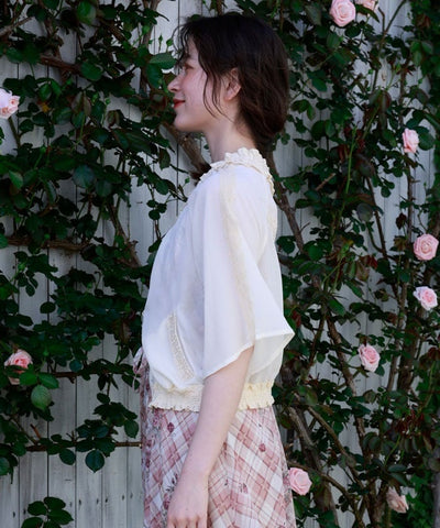 Flare Sleeve Sheer Blouson