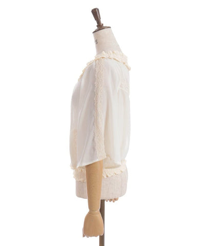 Flare Sleeve Sheer Blouson