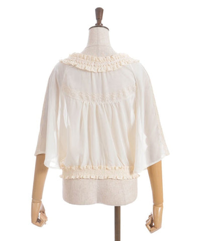 Flare Sleeve Sheer Blouson