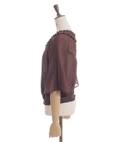 Flare Sleeve Sheer Blouson
