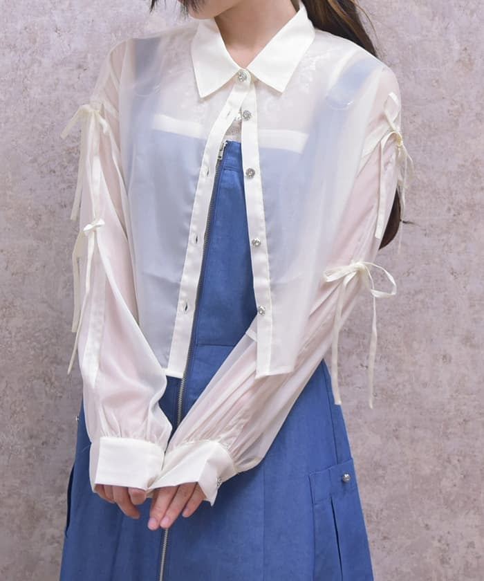 Lamé Sheer Shirt with Ribbon