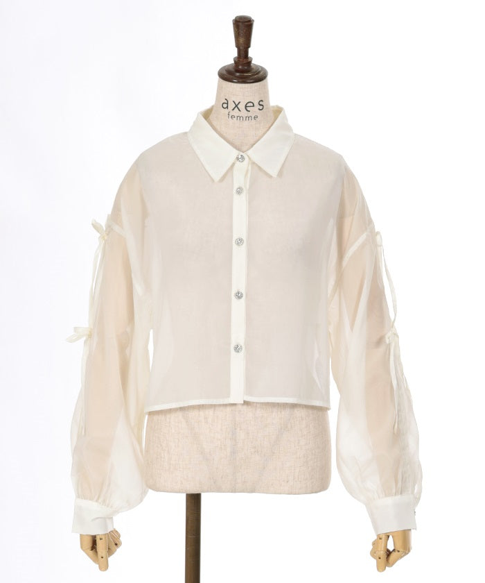 Lamé Sheer Shirt with Ribbon