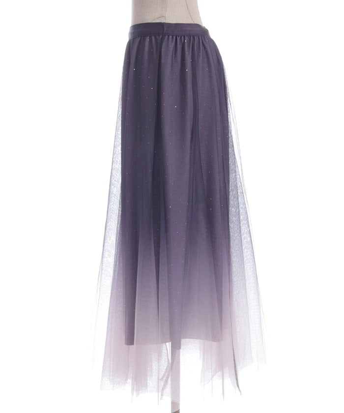 Tulle Lamé Skirt