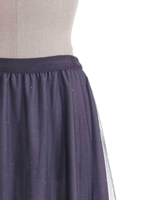 Tulle Lamé Skirt