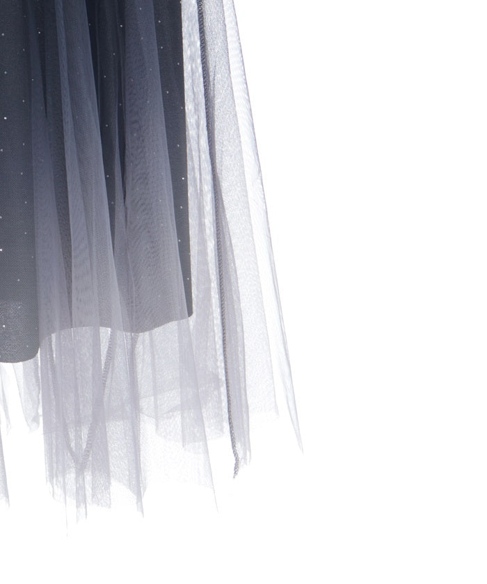 Tulle Lamé Skirt