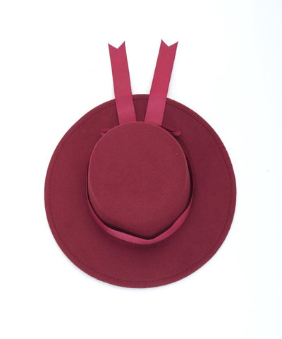 Felt Hat with Ribbon