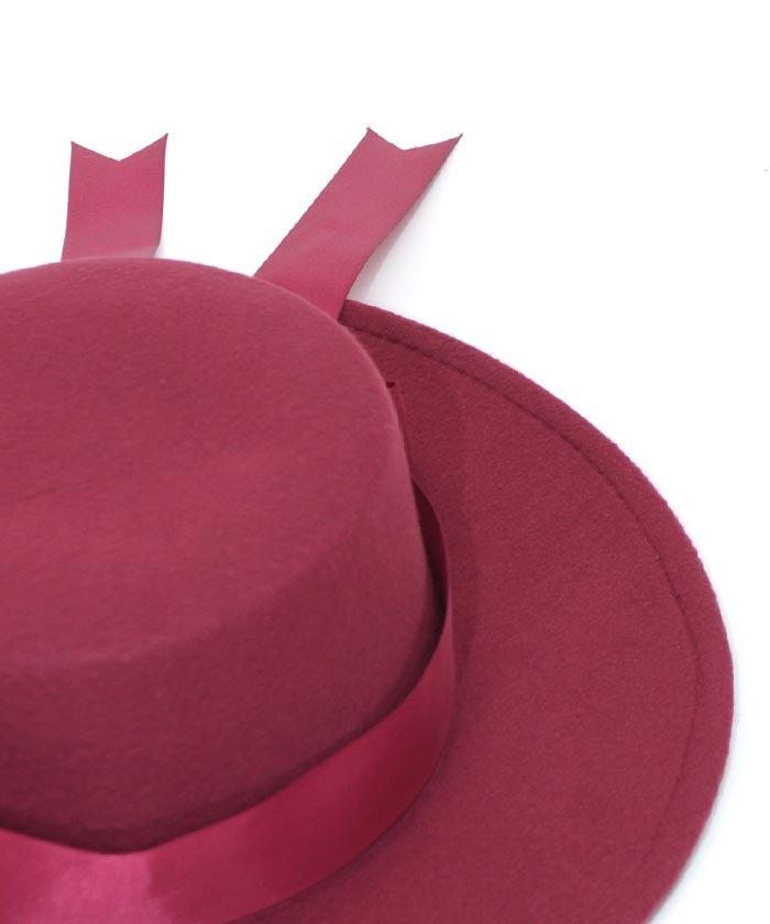 Felt Hat with Ribbon