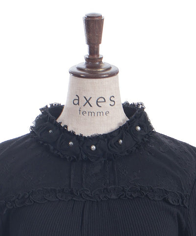 Tulle Rose Lace Panel Pullover