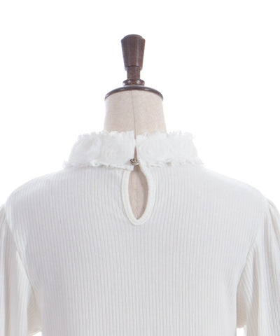 Tulle Rose Lace Panel Pullover