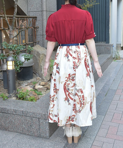Brilliant Pattern Dress