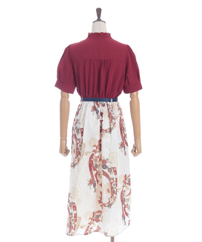 Brilliant Pattern Dress