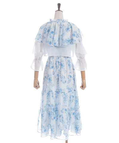 Nemophila Pattern Blouse & Dress