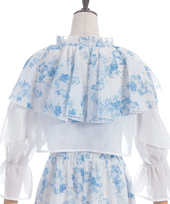 Nemophila Pattern Blouse & Dress