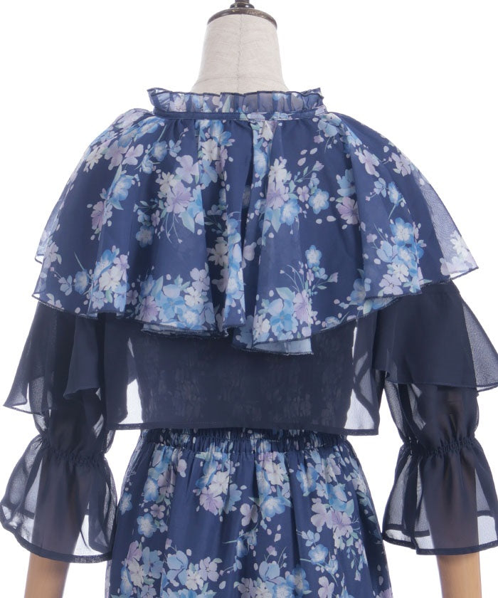 Nemophila Pattern Blouse & Dress