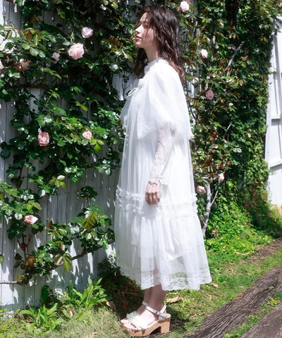 Flare Sleeve Tulle Dress