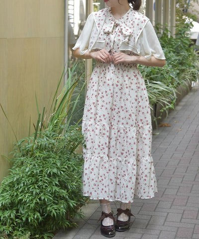 Small Floral Pattern Blouse & Dress Set