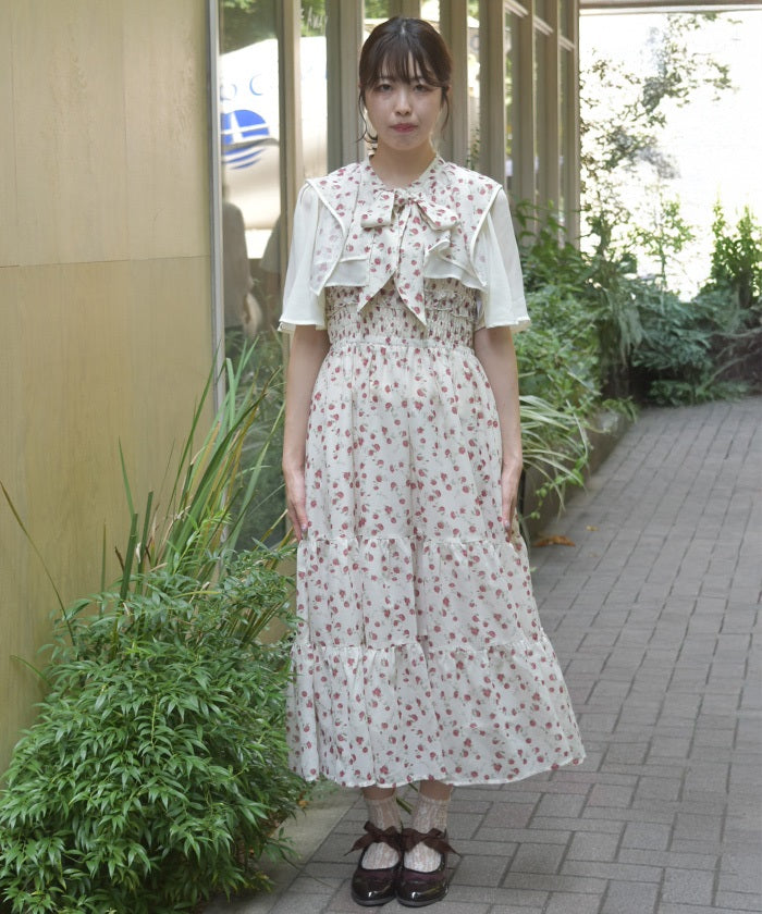 Small Floral Pattern Blouse & Dress Set