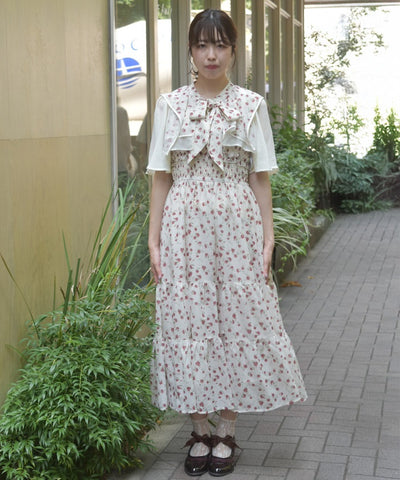 Small Floral Pattern Blouse & Dress Set