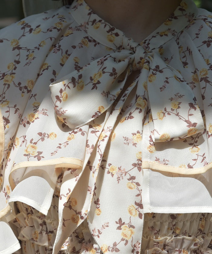 Small Floral Pattern Blouse & Dress Set