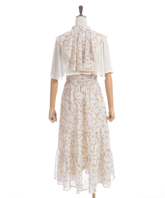 Small Floral Pattern Blouse & Dress Set