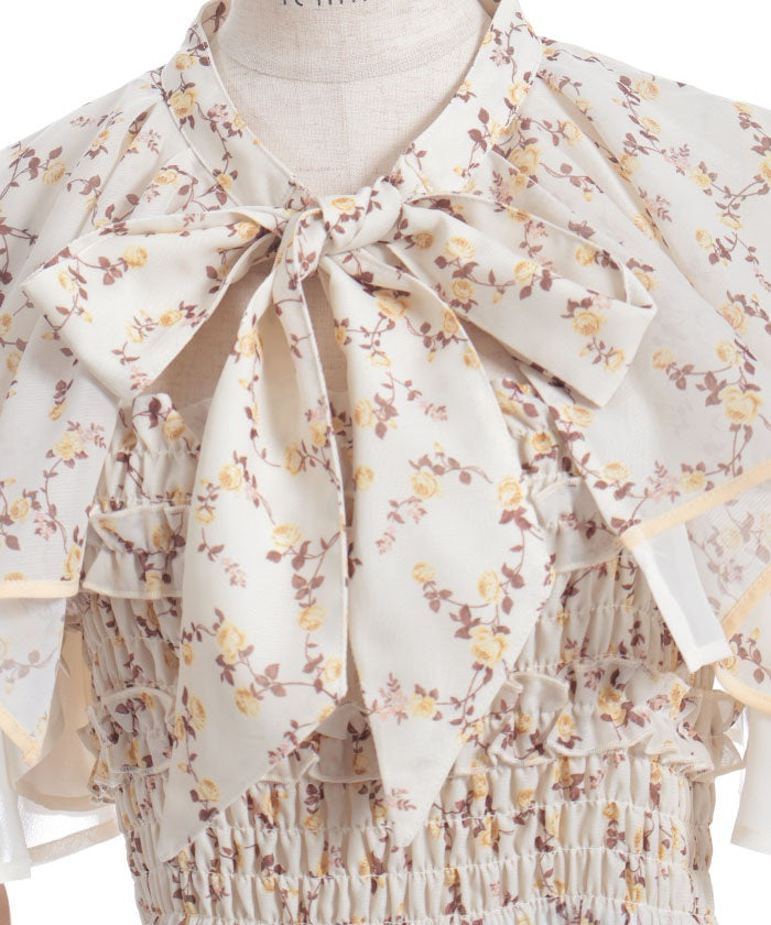 Small Floral Pattern Blouse & Dress Set