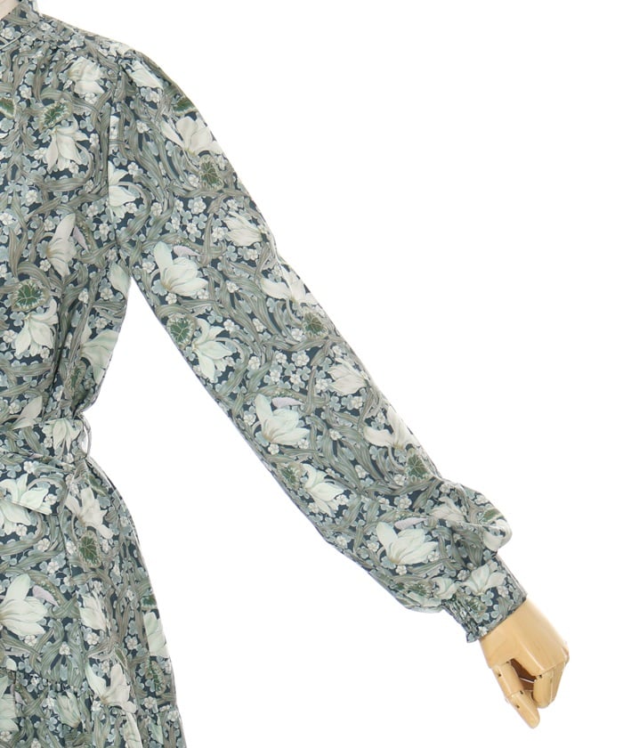 Flower Print A-Line Dress