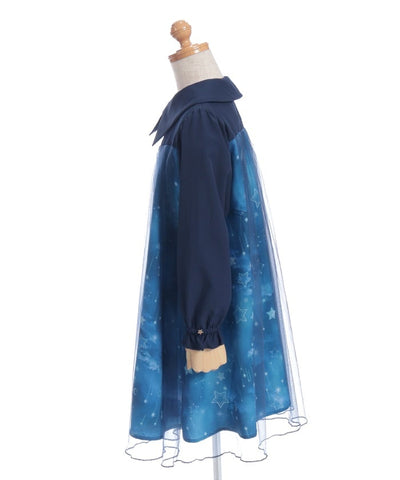 Starry Tulle Long Sleeve Dress