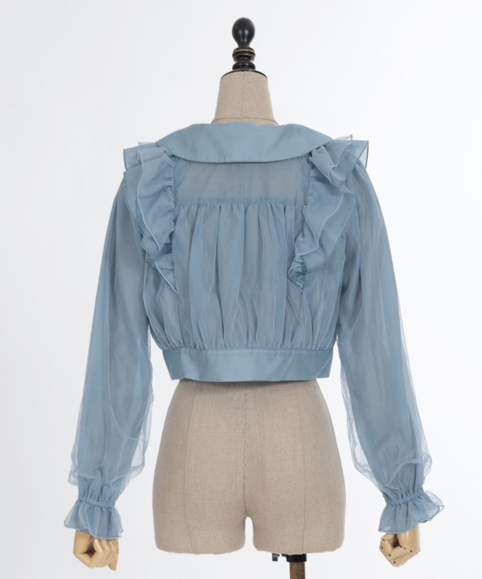 Sheer & Tulle Blouson