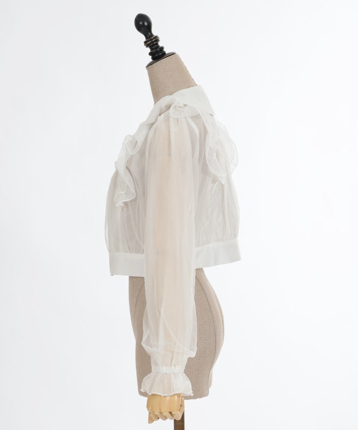 Sheer & Tulle Blouson