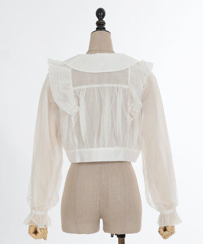 Sheer & Tulle Blouson