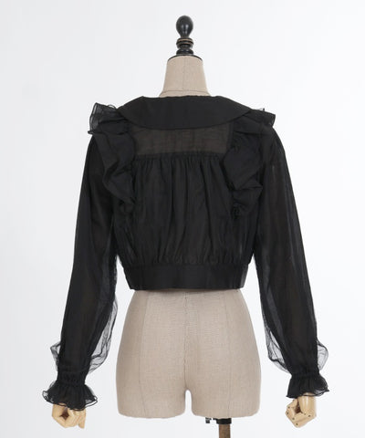 Sheer & Tulle Blouson