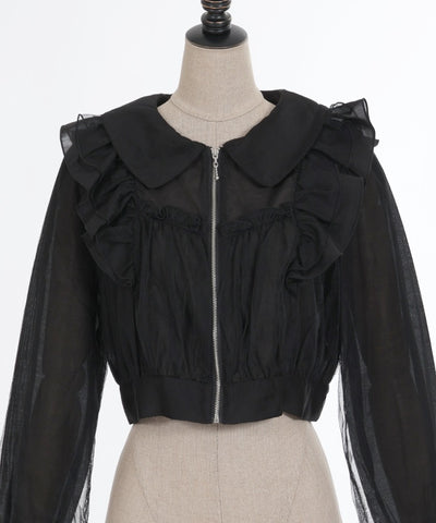 Sheer & Tulle Blouson