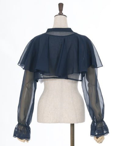 Lamé Cropped Blouse with Cape